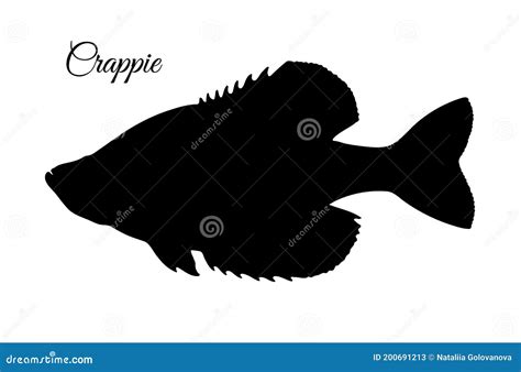 Crappie fish silhouette stock vector. Illustration of farming - 200691213