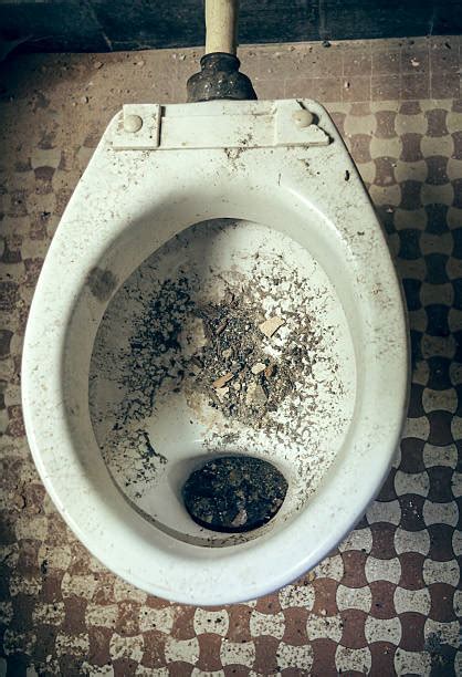 Dirty Toilet Bowl Stock Photos, Pictures & Royalty-Free Images - iStock