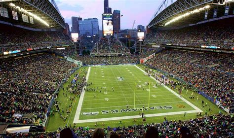 Seattle Seahawks - Stadium Dude