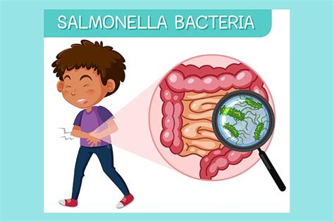 Symptoms Of Salmonella In Kids, Treatment & Prevention