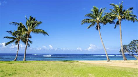 Kiahuna Beach at Poipu Resort | Guide to Kauai Beaches