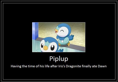 Piplup Dawn Meme by 42Dannybob on DeviantArt