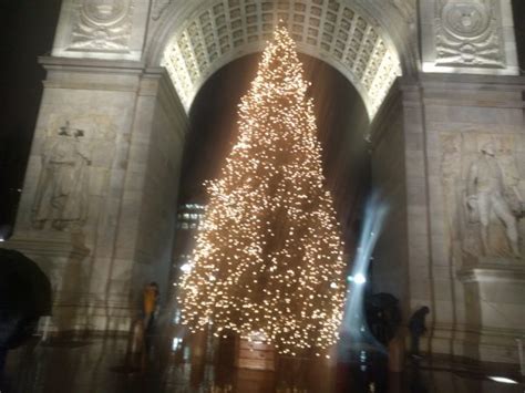 Washington Square Park Christmas Tree is Lit! - Washington Square Park Blog