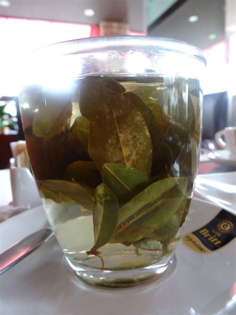 Meanderings, Adventures, and Crafty Inspirations: A Cultural Bit: The Coca Leaf