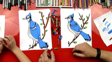 How to draw a blue jay