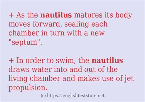 Example sentences of "nautilus" - EnglishTestStore Blog