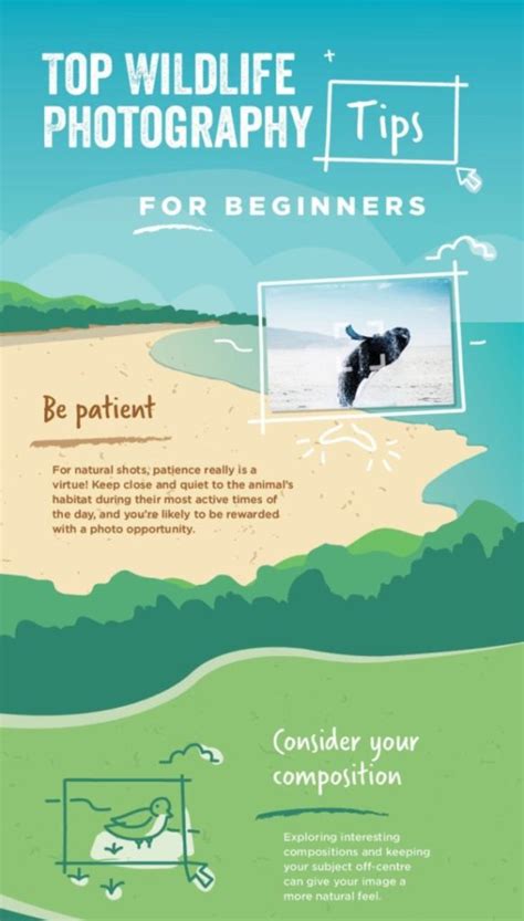 Top Wildlife Photography Tips | Infographics Zone| Submit Infographics