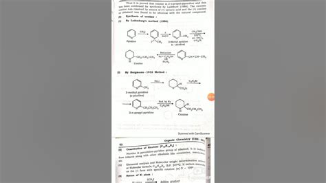 Synthesis of coniine - YouTube