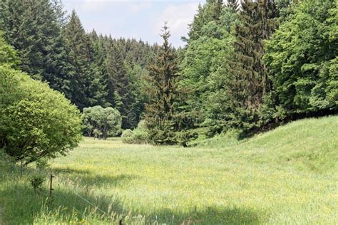 Landscape in the Vessertal a Part of the Thuringian Forest Nature Park in Germany Stock Photo ...