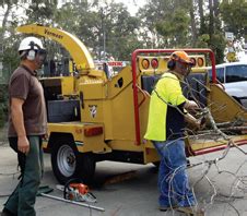 Essential Wood Chipper Safety - Training For Trees