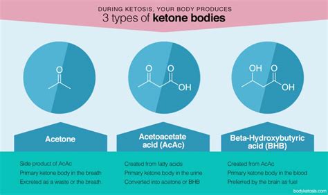 Am I in ketosis? Wondering how to measure ketones? | Bodyketosis