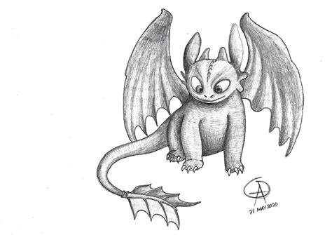 Night Fury Dragon Drawings