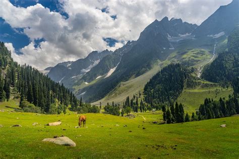 Top 5 Places to Visit in Kashmir on Srinagar Side Trips