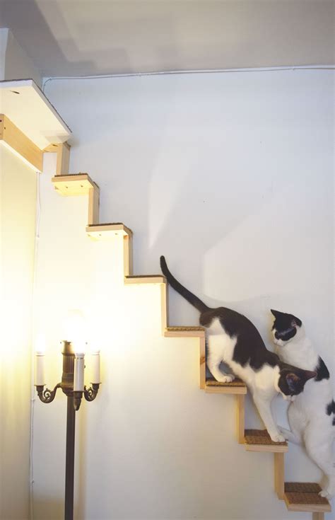 Cat Staircase | Cat climbing shelves, Cat climbing wall, Cat climbing