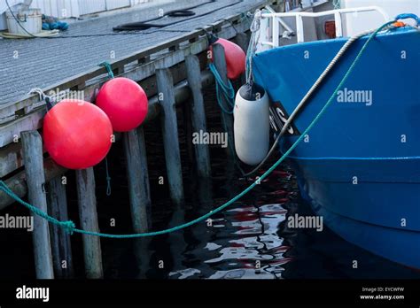 Fishing boat by dock, Reine, Norway Stock Photo - Alamy