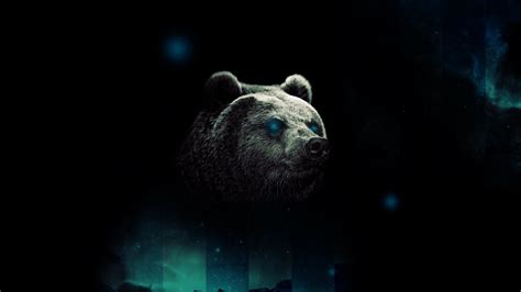 🔥 [45+] Bear Wallpapers | WallpaperSafari