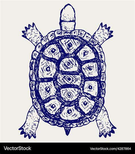 Land turtle Royalty Free Vector Image - VectorStock