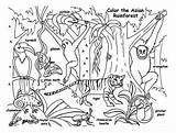 Free Printable Rainforest Coloring Pages Pdf  Coloringfoldercom sketch template