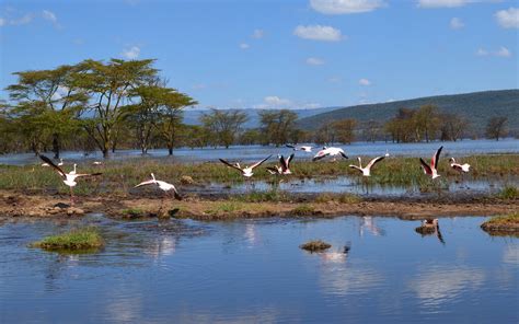 Weather in Nakuru in April: Temperature, Rainfall, Sunshine... for April 2025! - Kenya - Where ...