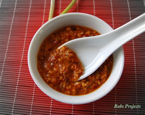 Asian Chili and Garlic Paste - Babs Projects