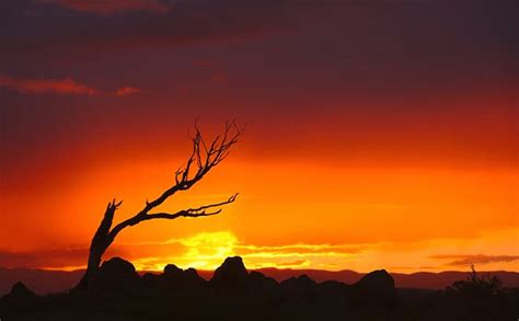 Sunset Photography: Tips on Capturing Landscape Sunsets