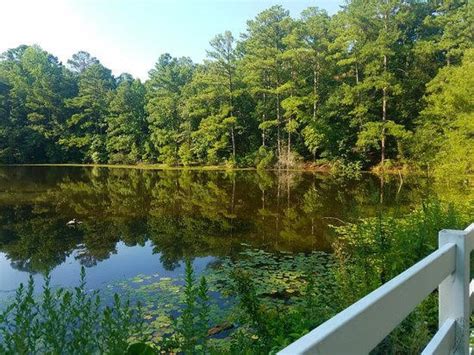 Cape Fear River Trail (North Carolina) | Fastest Known Time