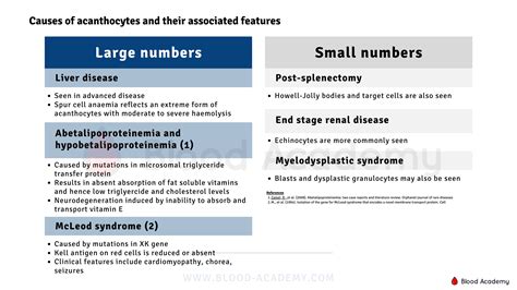 Causes of acanthocytes and their associated features - Blood Academy