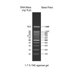 100bp DNA Ladder RTU (Ready-to-Use) – GeneDireX, Inc.