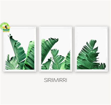 Banana Leaf Print Banana Leaves Print Set of 3 Print Tropical - Etsy