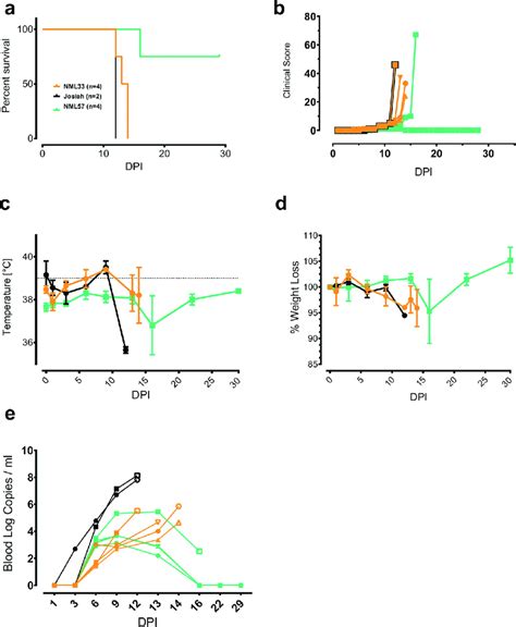 Infection of cynomolgus macaques with 2018 Nigerian outbreak Lassa ...