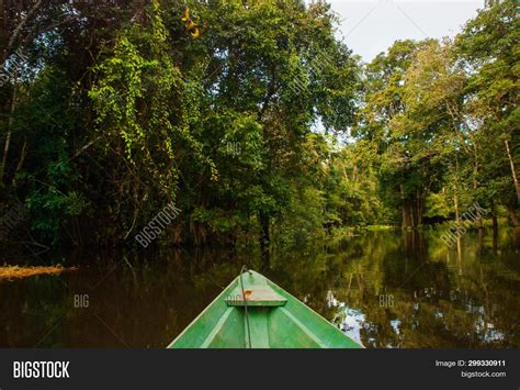 Amazon River, Manaus, Image & Photo (Free Trial) | Bigstock