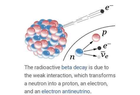 Weak nuclear force it is the force that appears only between elementary ...