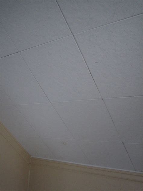 What Do Old Asbestos Ceiling Tiles Look Like | Americanwarmoms.org