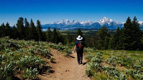 Trail of the Month - Two Ocean Lake Loop - Jackson Hole Nordic Alliance