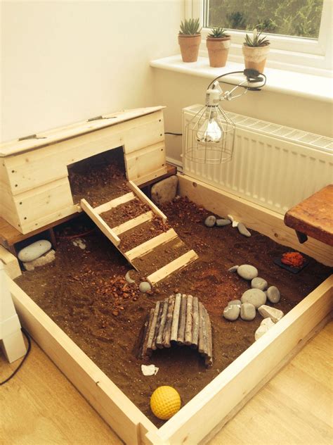 Tortoise Habitat table for Herb the Horsfield Russian | Tortoise care, Tortoise enclosure ...