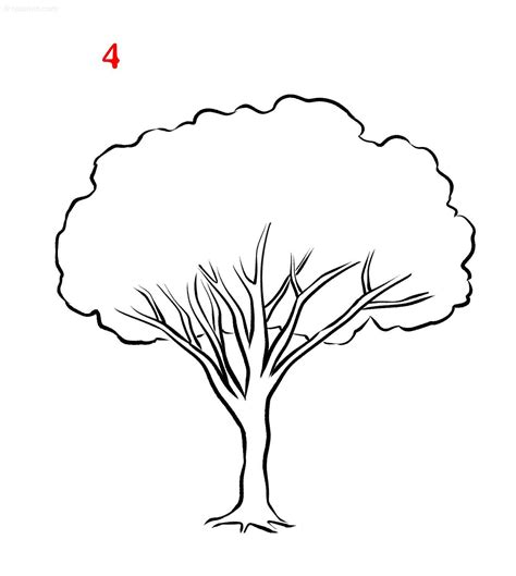 Easy Tree Drawing » How to draw a Tree