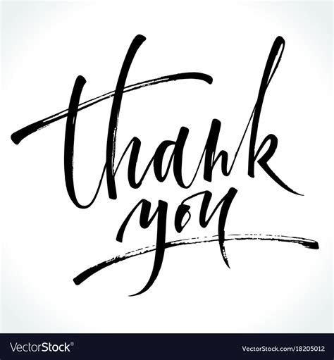 Thank you modern calligraphy Royalty Free Vector Image