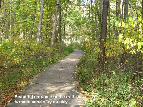 Indiana Dunes state park entrance to hiking trail. Don't let the wood fool you, about 50 ft in ...