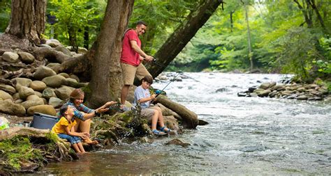 Downtown Gatlinburg Hotel on the River | Greystone Lodge on the River