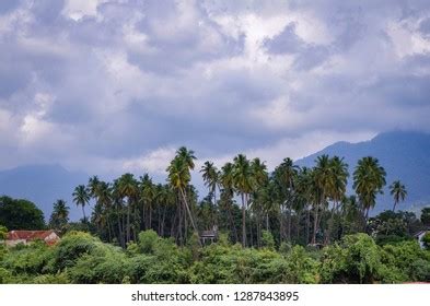 Nilgiri Hills Mettupalayam Tamil Nadu India Stock Photo 1287843895 | Shutterstock