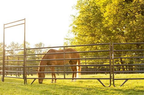 used horse corral panels corral panels fence