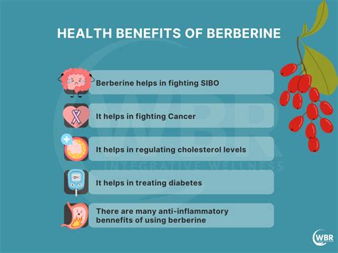 benefits of berberine