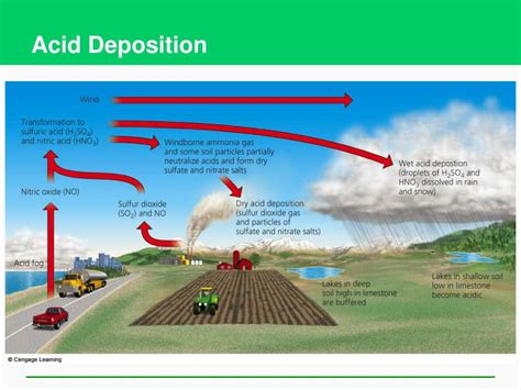 PPT - Air Pollution, Climate Change, and Ozone Depletion PowerPoint Presentation - ID:260177