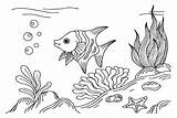 Fish Tank Angelfish Coloring Page  Free Printable Pages sketch template