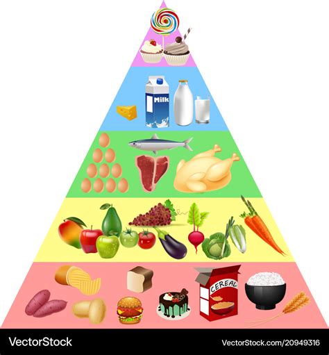 Food pyramid chart Royalty Free Vector Image - VectorStock