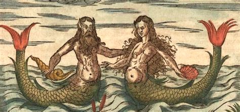 The Mermaid, C’est Moi: Rewriting the Story of a Universal Myth ‹ Literary Hub