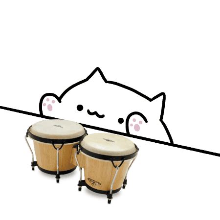bongo cat | Sonic the Hedgehog Español Amino