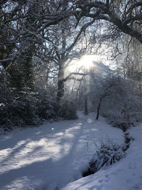 Walk into work this morning. Charleston, WV, USA : r/winterporn