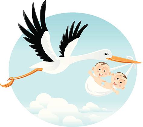 10+ Stork Twins Illustrations, Royalty-Free Vector Graphics & Clip Art ...