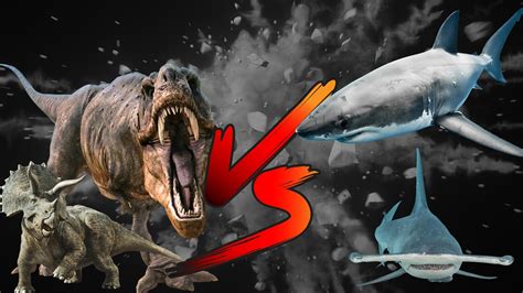 Dinosaurs Vs Sharks! Which is better? - Blue Planet Aquarium